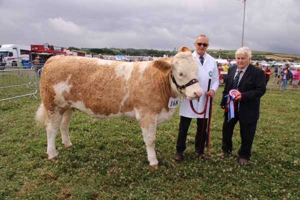 cattle3